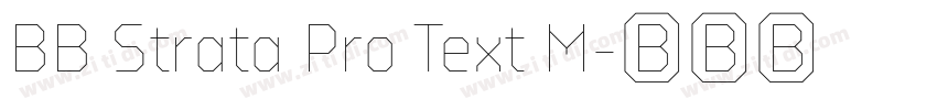 BB Strata Pro Text M字体转换 BB Strata Pro Text M字体转换